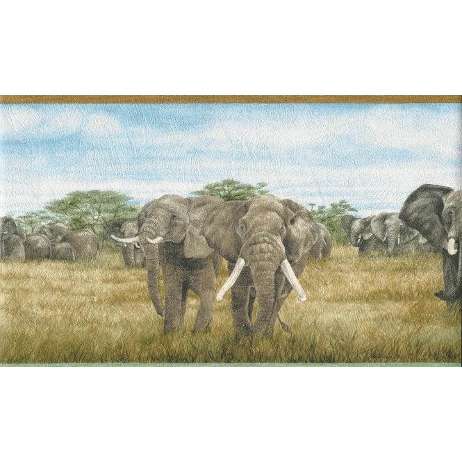 Elephant Safari Wide Border by Rasch 255201