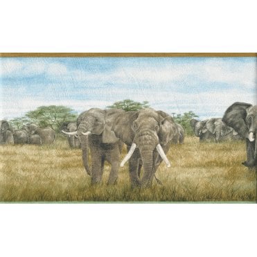 Elephant Safari Wide Border by Rasch 255201