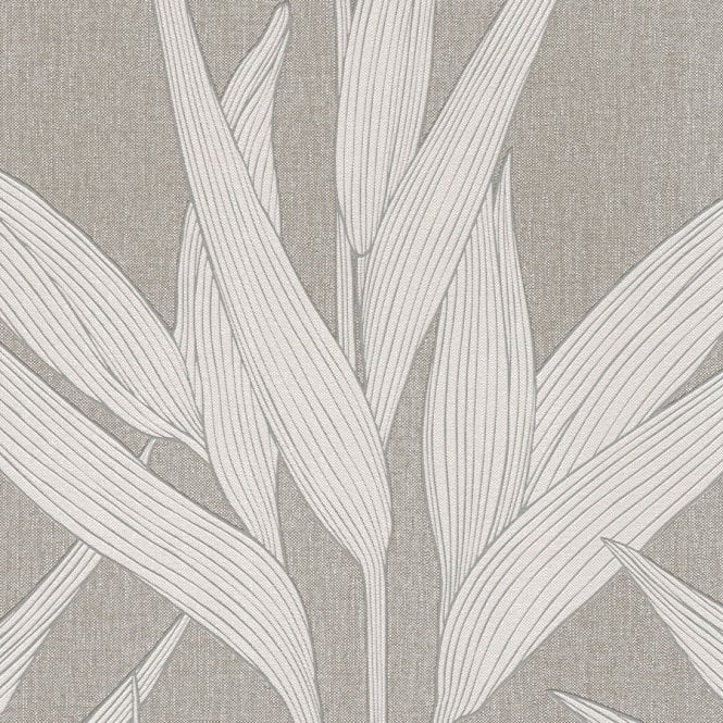 Hygge Grasses Deep Grey Wallpaper by AS Creation 36123-3