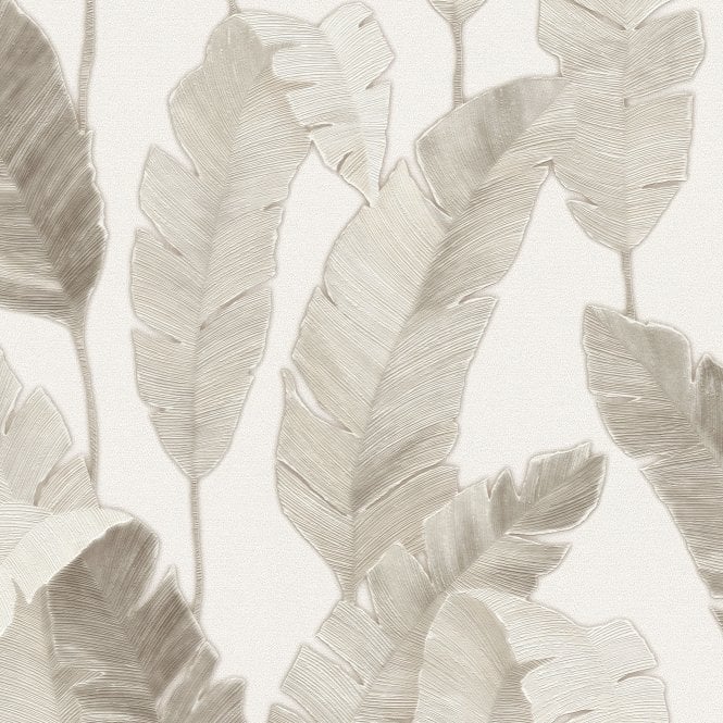 Lea Bali Banana Palm Leaf Cream / Beige Wallpaper by AS Creation 39218-5