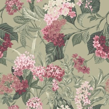 Misaki Hydrangea Sage / Pink Wallpaper by Belgravia Decor 2321