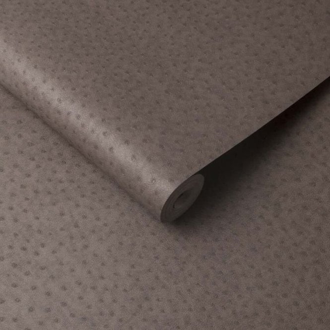 Ostrich Brown Wallpaper by Graham & Brown 32-640