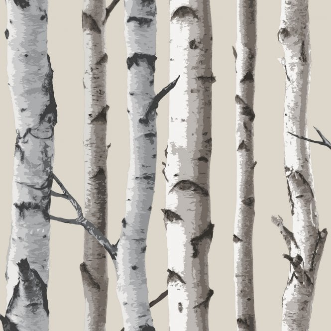 SAMPLE - Birch Tree Heavyweight Wallpaper Natural by Fine Decor FD31051S