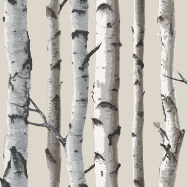 SAMPLE - Birch Tree Heavyweight Wallpaper Natural by Fine Decor FD31051S