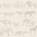SAMPLE - Boutique Safari Cream Wallpaper by Graham & Brown 104894