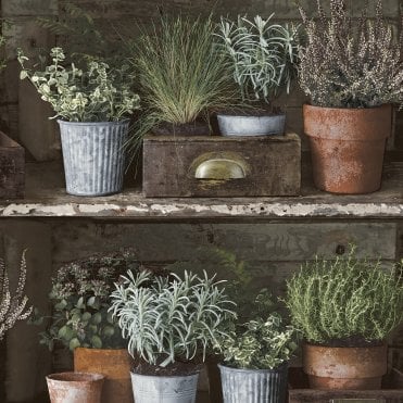 SAMPLE - Facade Herb Pots Wallpaper from Wall Fashion by Grandeco FC3102