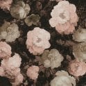 SAMPLE - History Of Art Floral Black / Cream / Rose Wallpaper by AS Creation 37650-4