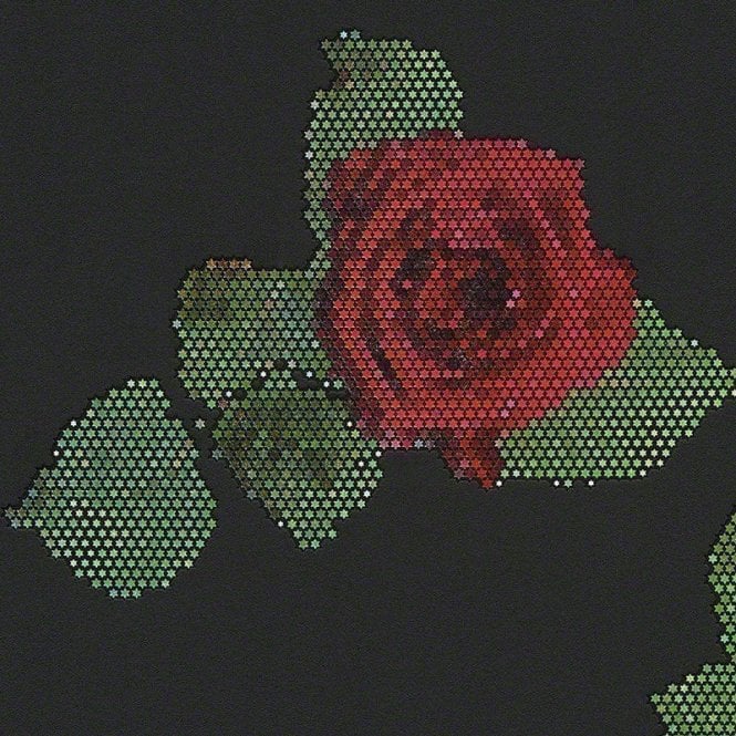 SAMPLE - Lars Contzen Rendez-Vous Roses Black Wallpaper by AS Creation 94407-3
