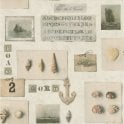 SAMPLE - Tiles & More Nautical Seashell Cream Washable Wallpaper by Rasch 306606