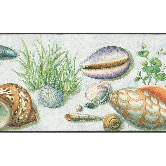 Seashell Motifs Multi Colour Contoured Border by Rasch 405804
