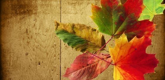 colours